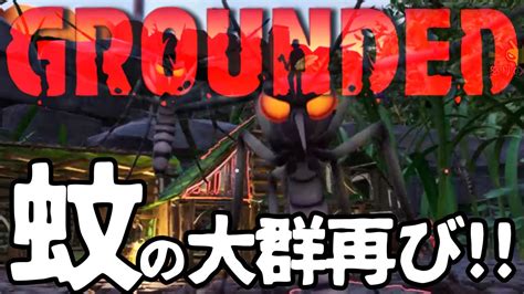 grounded 襲撃.